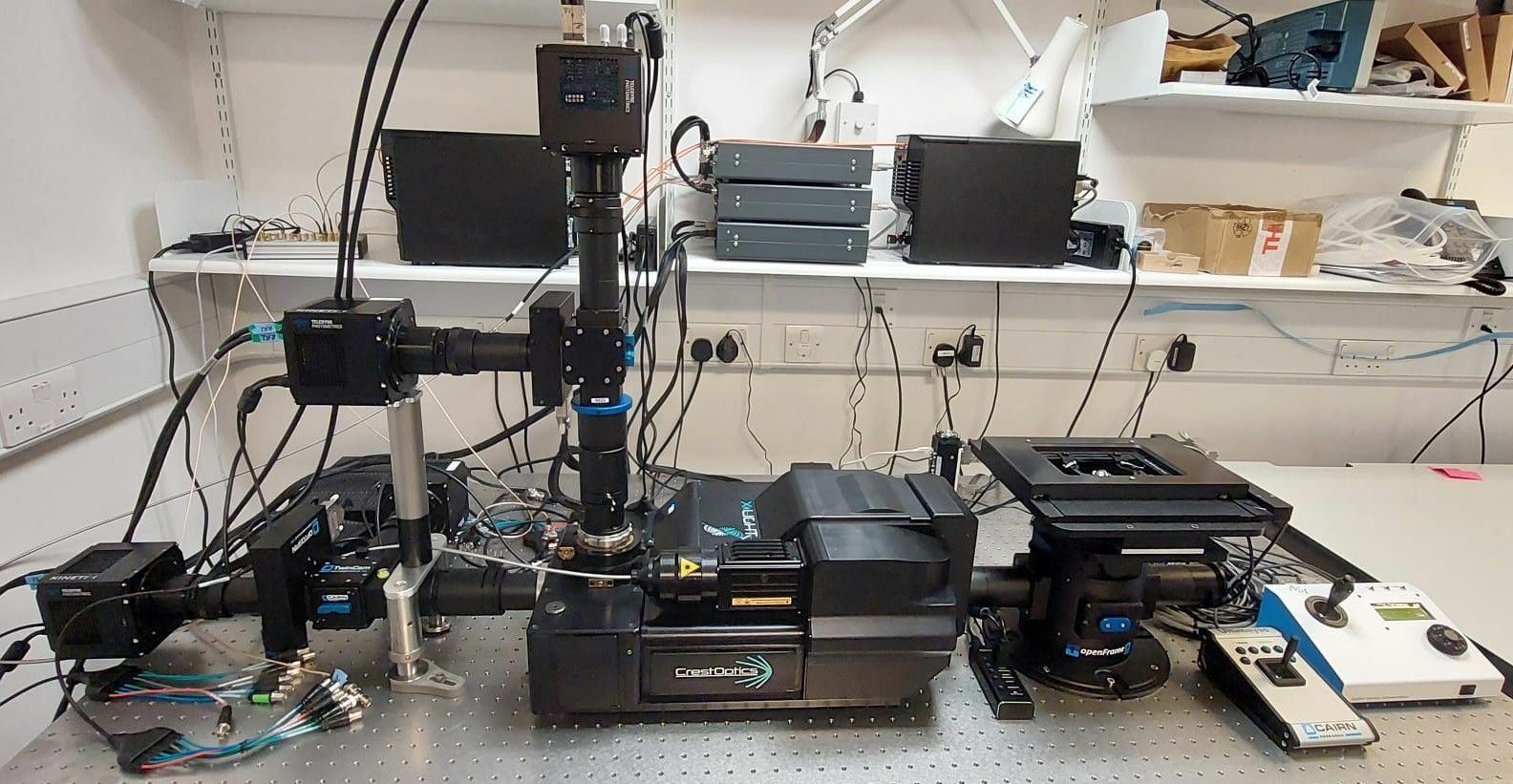 spatial transcriptomics 1