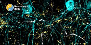 See you at Neuroscience 2022 in San Diego!