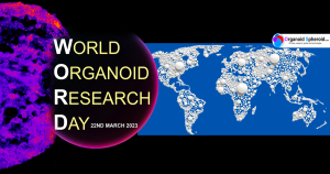 World Organoid Research Day (online)