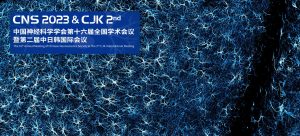 CNS&CJK 2023 in China
