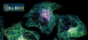 Cell Bio 2023 in Boston