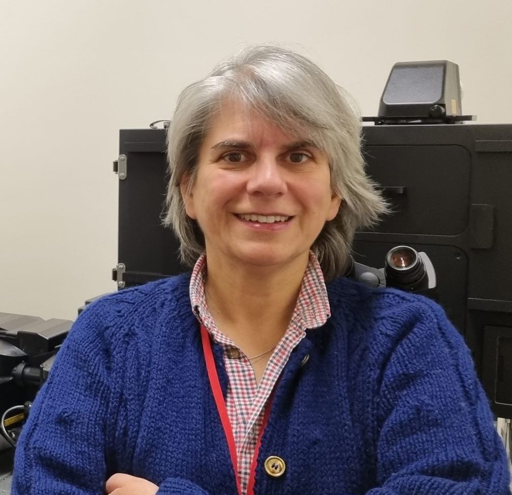 Prof. Paula Sampaio